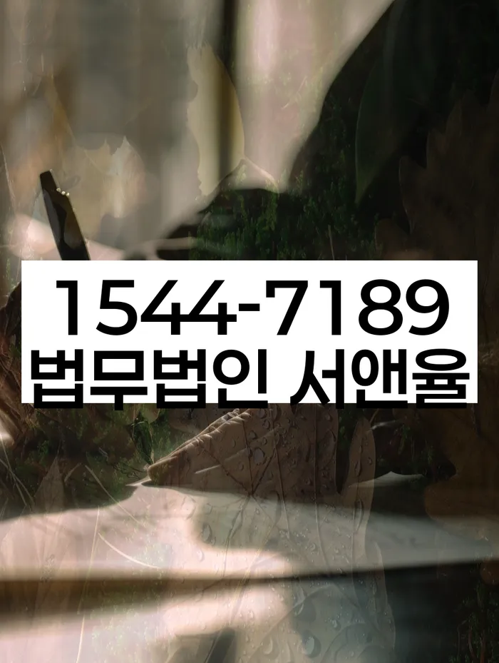 신용불량자사면