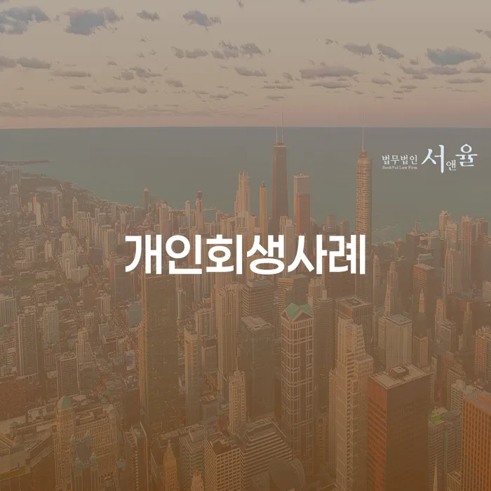 채권채무조회서 개인회생 처리방법 접수를