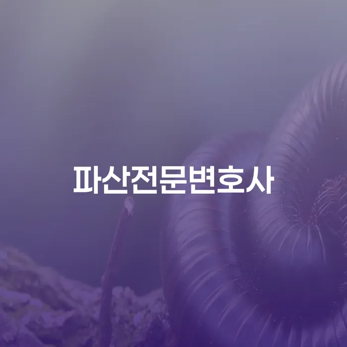 개인회생파산 채무 효과적인 해결방법 무료상담진행