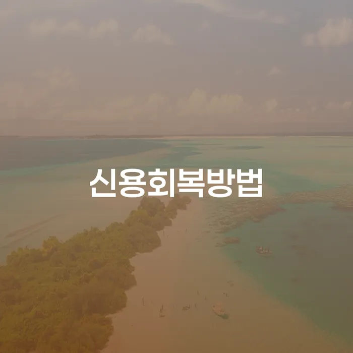 파산신청변호사 채무조정제도을 이용하여 확인하자