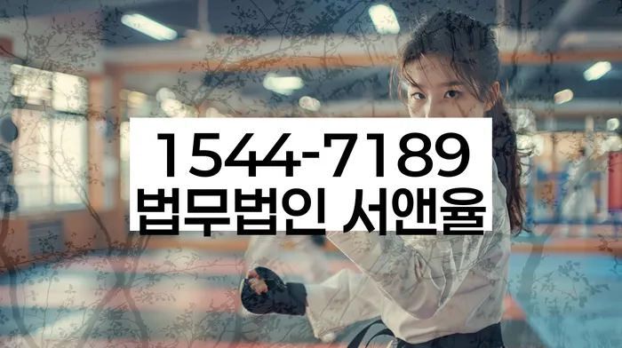 개인회생자동차