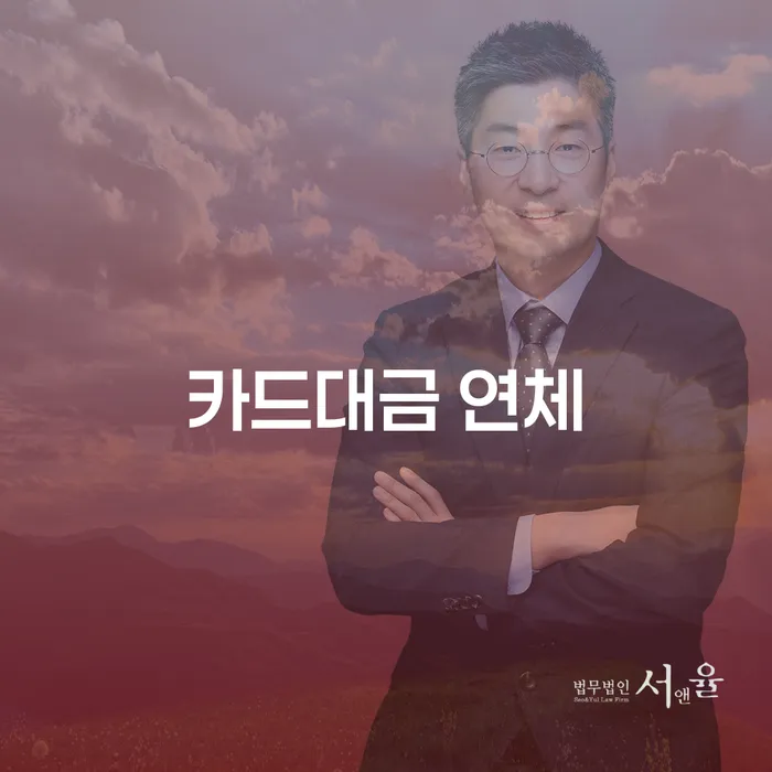 서울특별시 카드대금 연체 개인회생 문제해결방법 진행하는