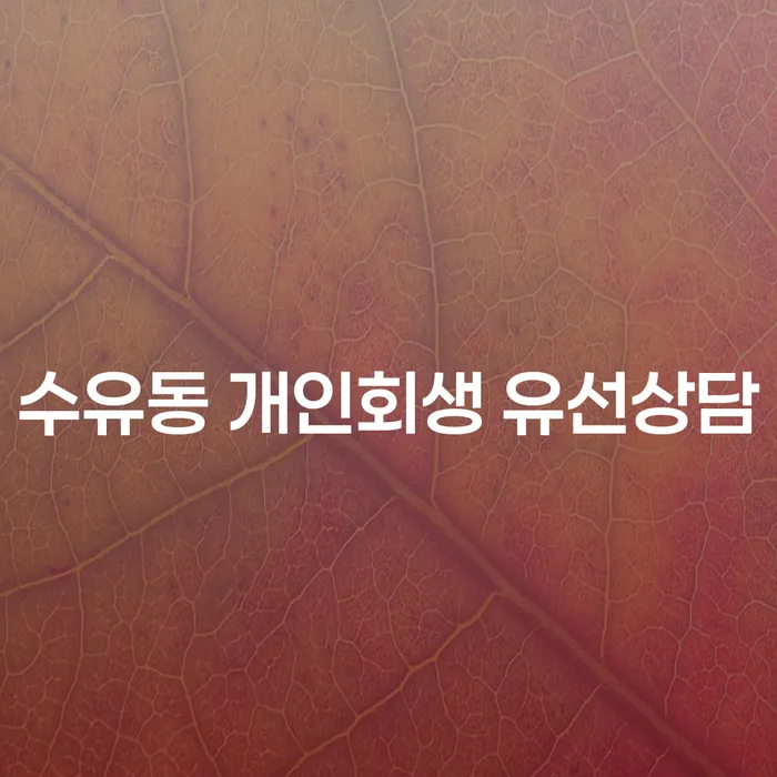 수유동 개인회생 유선상담