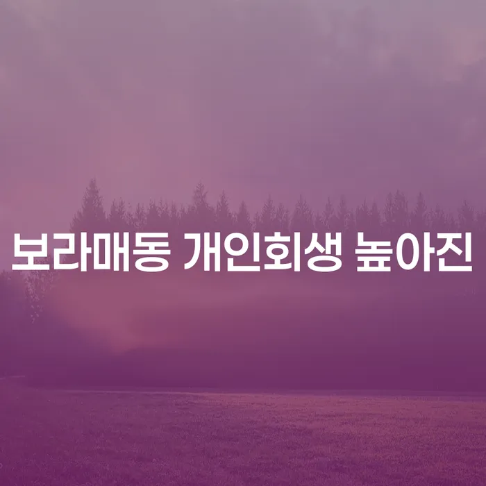 보라매동 개인회생 높아진