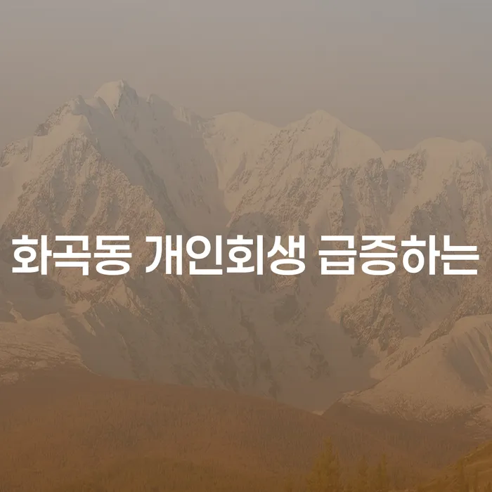 화곡동 개인회생 급증하는