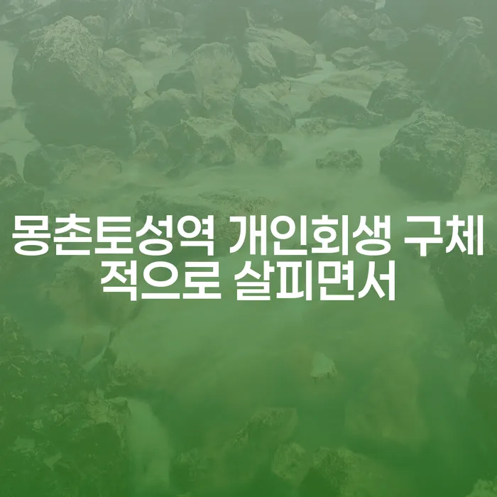 몽촌토성역 개인회생 구체적으로 살피면서