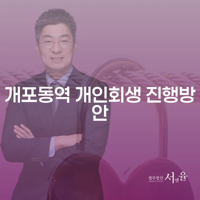 개포동역 개인회생 진행방안