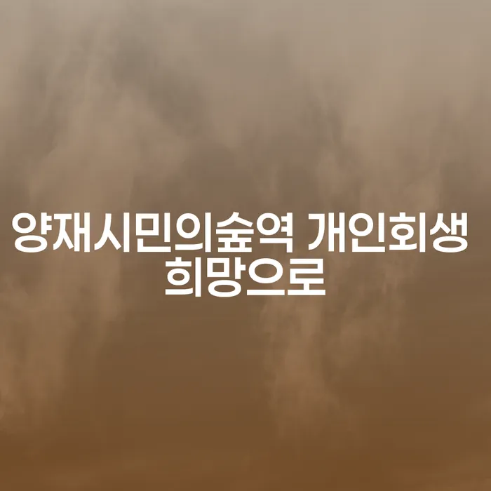 양재시민의숲역 개인회생 희망으로