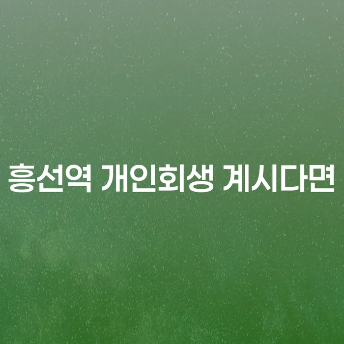 흥선역 개인회생 계시다면