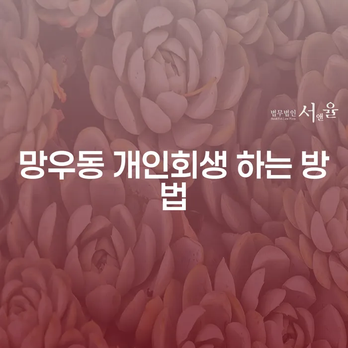 망우동 개인회생을 복잡하지 않게 하는 방법은 무엇일까요?