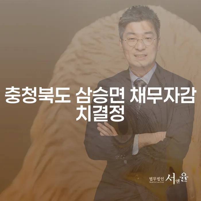 충청북도 삼승면에서 채무자감치결정, 어떻게 해야 할까요?