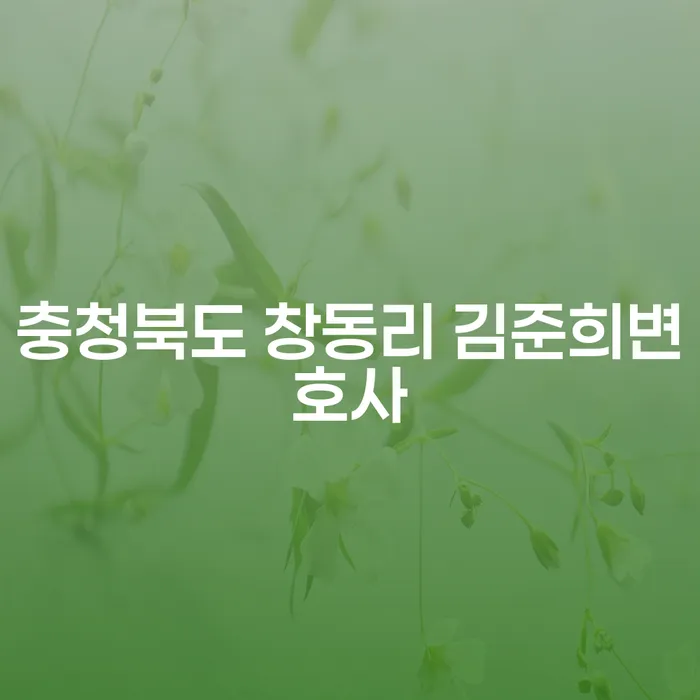 충청북도 창동리 김준희변호사와 함께하는 캠코신용회복 및 개인회생 전략